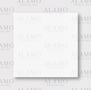 Alamo Prints Inc logo on white background